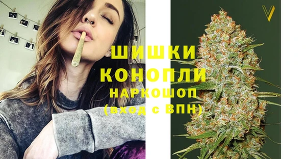 хмурый Лиски