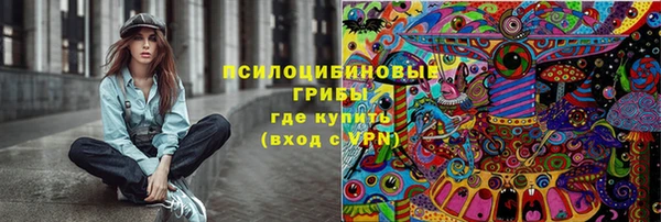хмурый Лиски