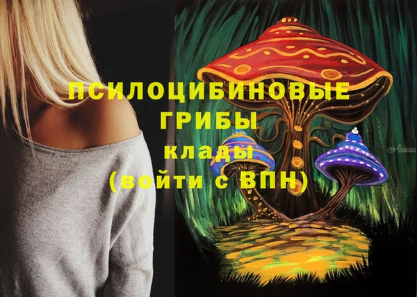 дмт Липки