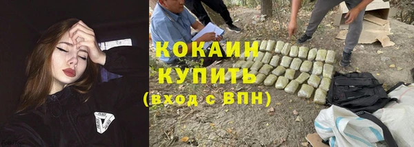 дмт Липки